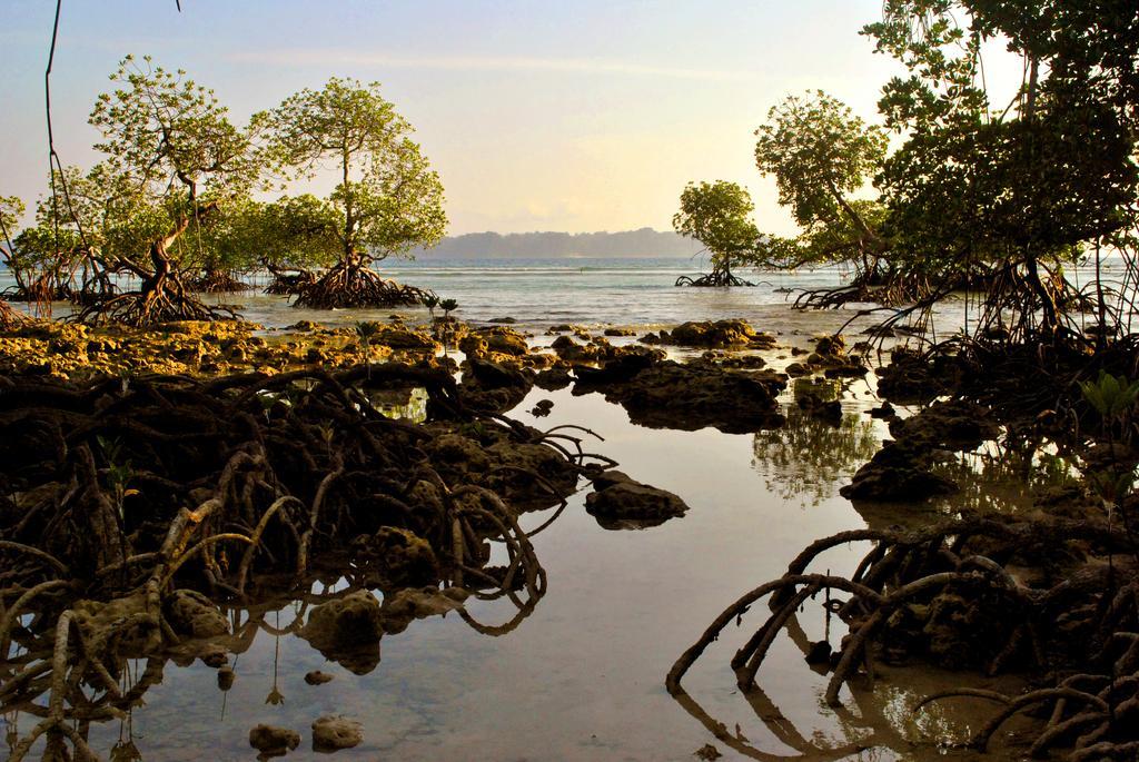 فندق Sea Shell Neil Lakshmanpur المظهر الخارجي الصورة
