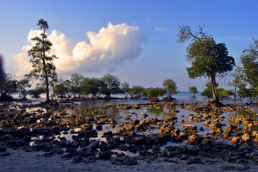 فندق Sea Shell Neil Lakshmanpur المظهر الخارجي الصورة