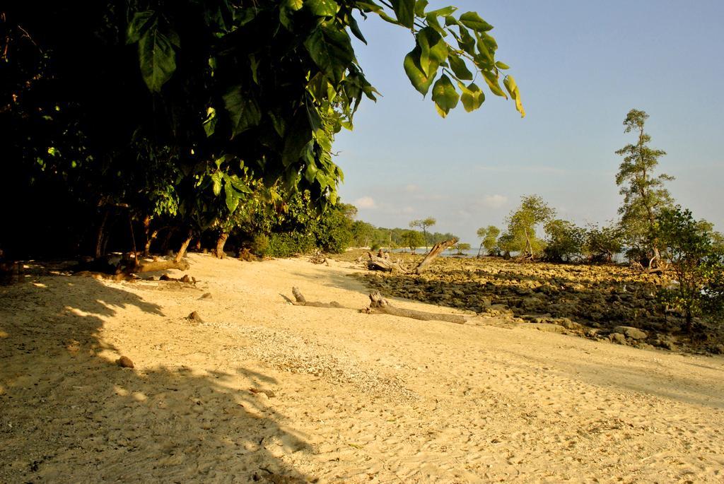 فندق Sea Shell Neil Lakshmanpur المظهر الخارجي الصورة