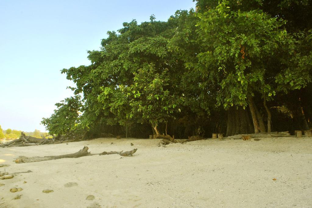 فندق Sea Shell Neil Lakshmanpur المظهر الخارجي الصورة